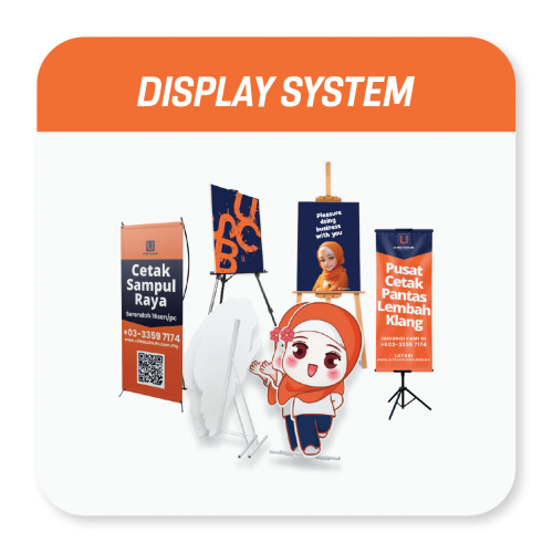 Display System