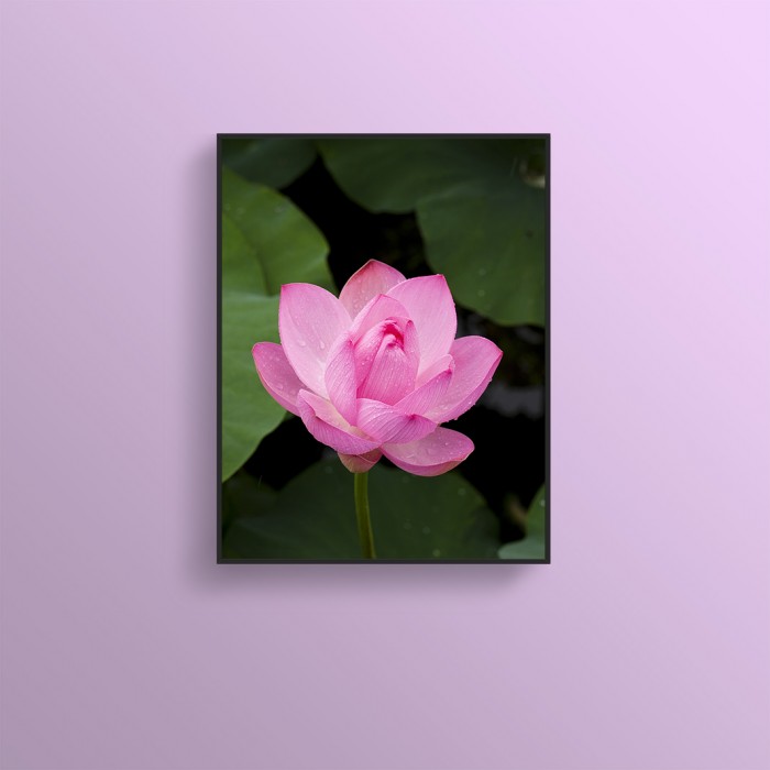 Canvas Printing